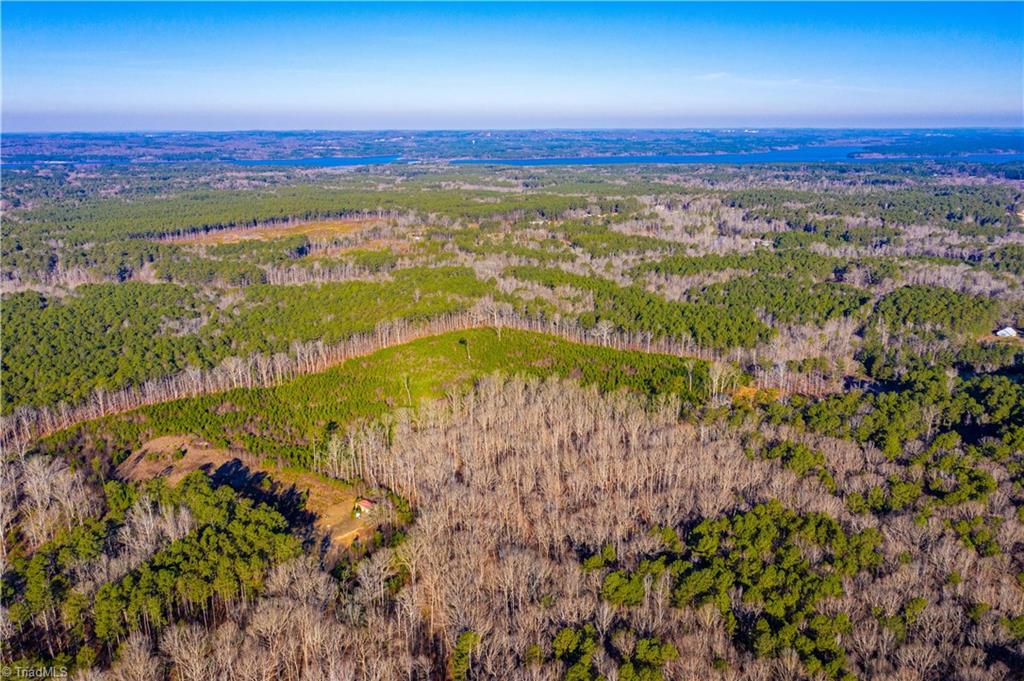 0 Hortons Pond Road Apex, NC 27523 - Photo 13 of 23 Gallery Image 13