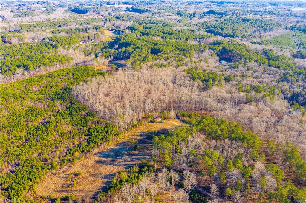 0 Hortons Pond Road Apex, NC 27523 - Photo 21 of 23 Gallery Image 21