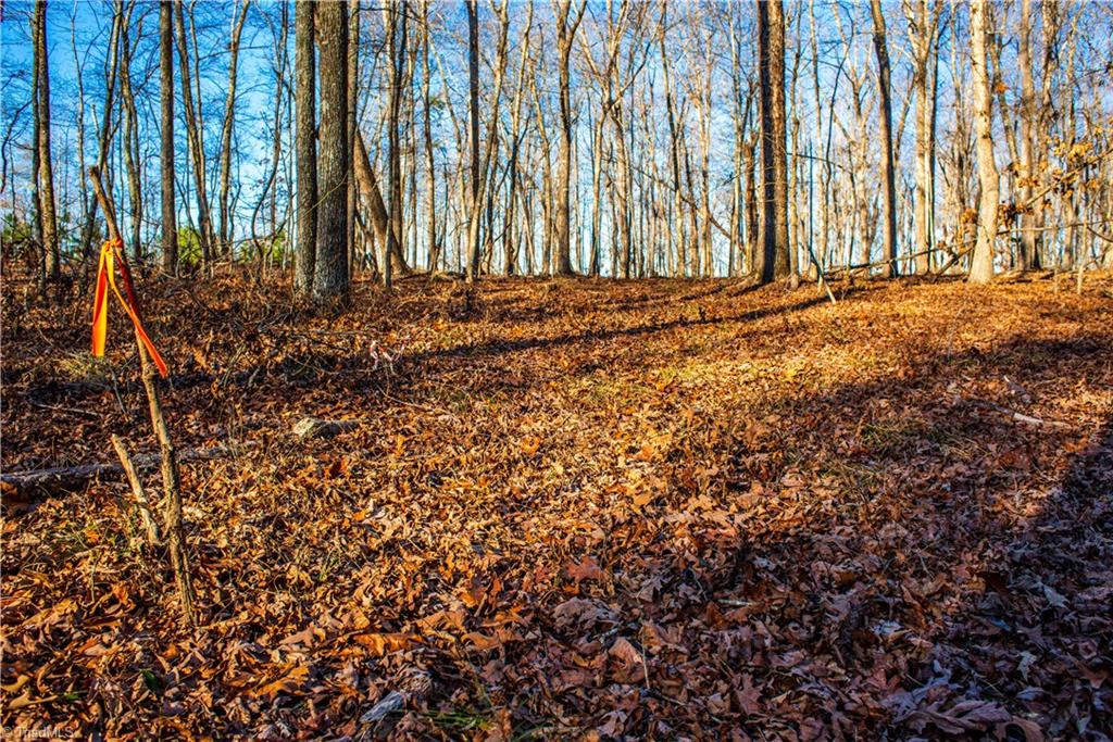 0 Hortons Pond Road Apex, NC 27523 - Photo 8 of 23 Gallery Image 8