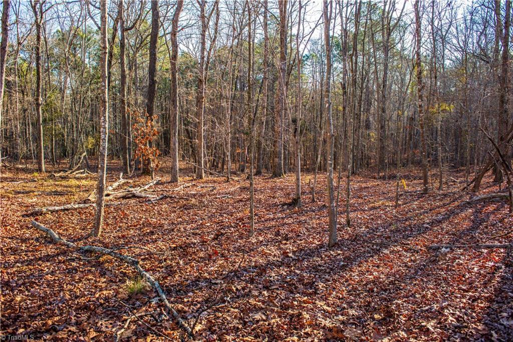 0 Hortons Pond Road Apex, NC 27523 - Photo 9 of 23 Gallery Image 9