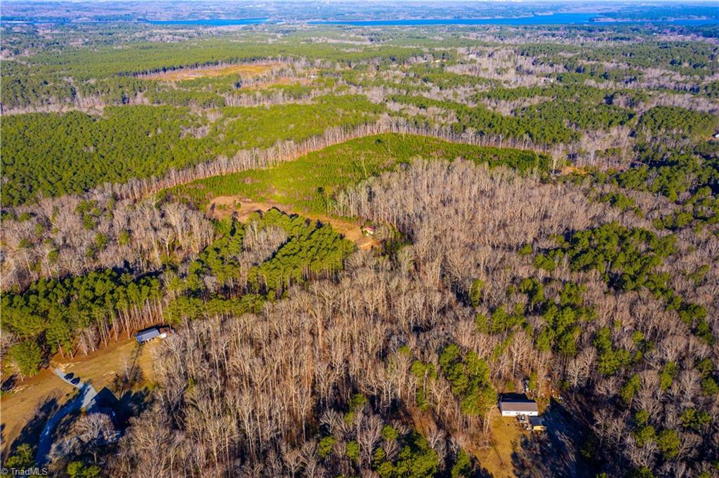 0 Hortons Pond Road Apex, NC 27523 - Photo 10 of 23 Gallery Image 10