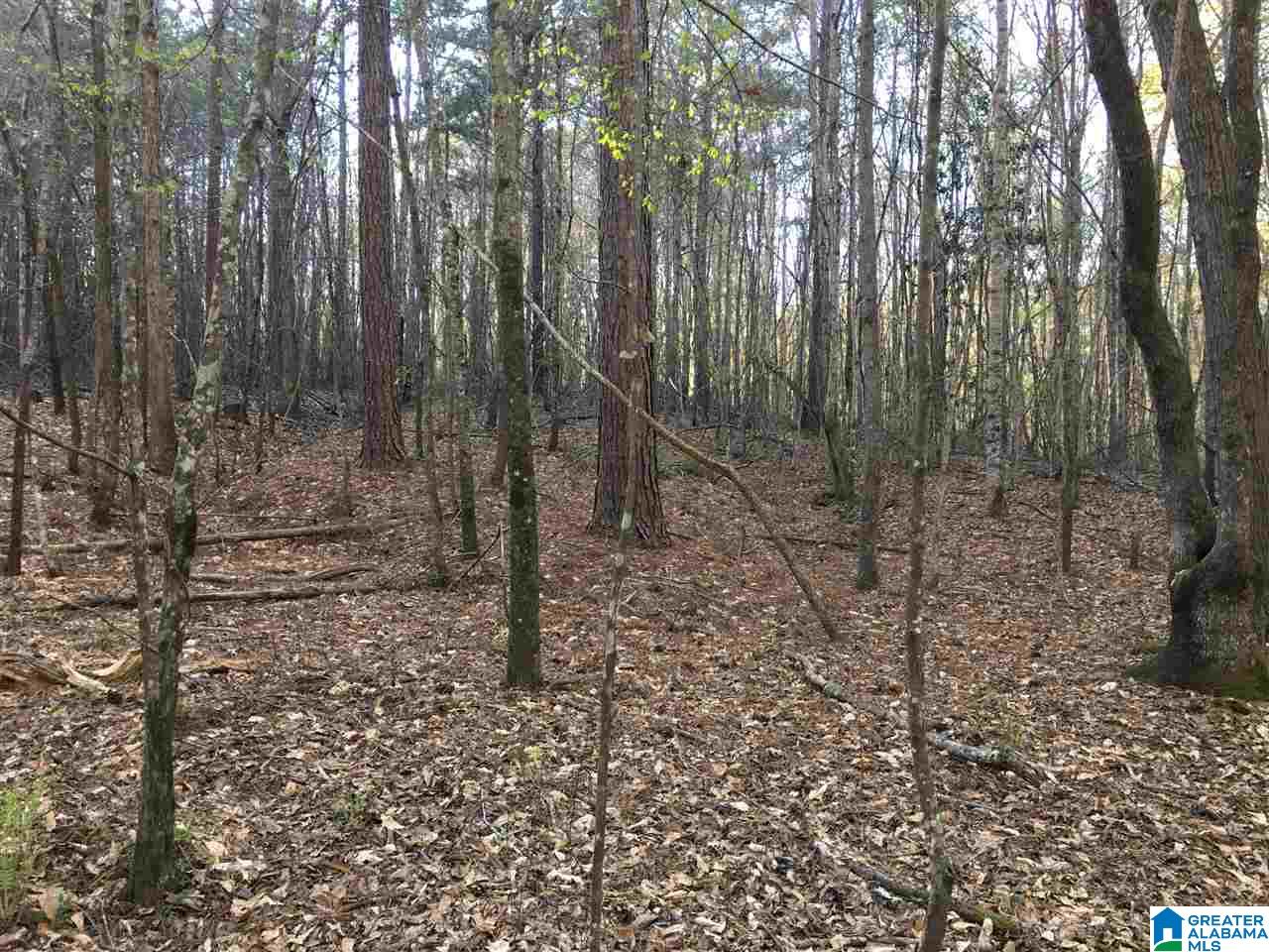 0 6th Street Alexander City, AL 35010 - Photo 13 of 13