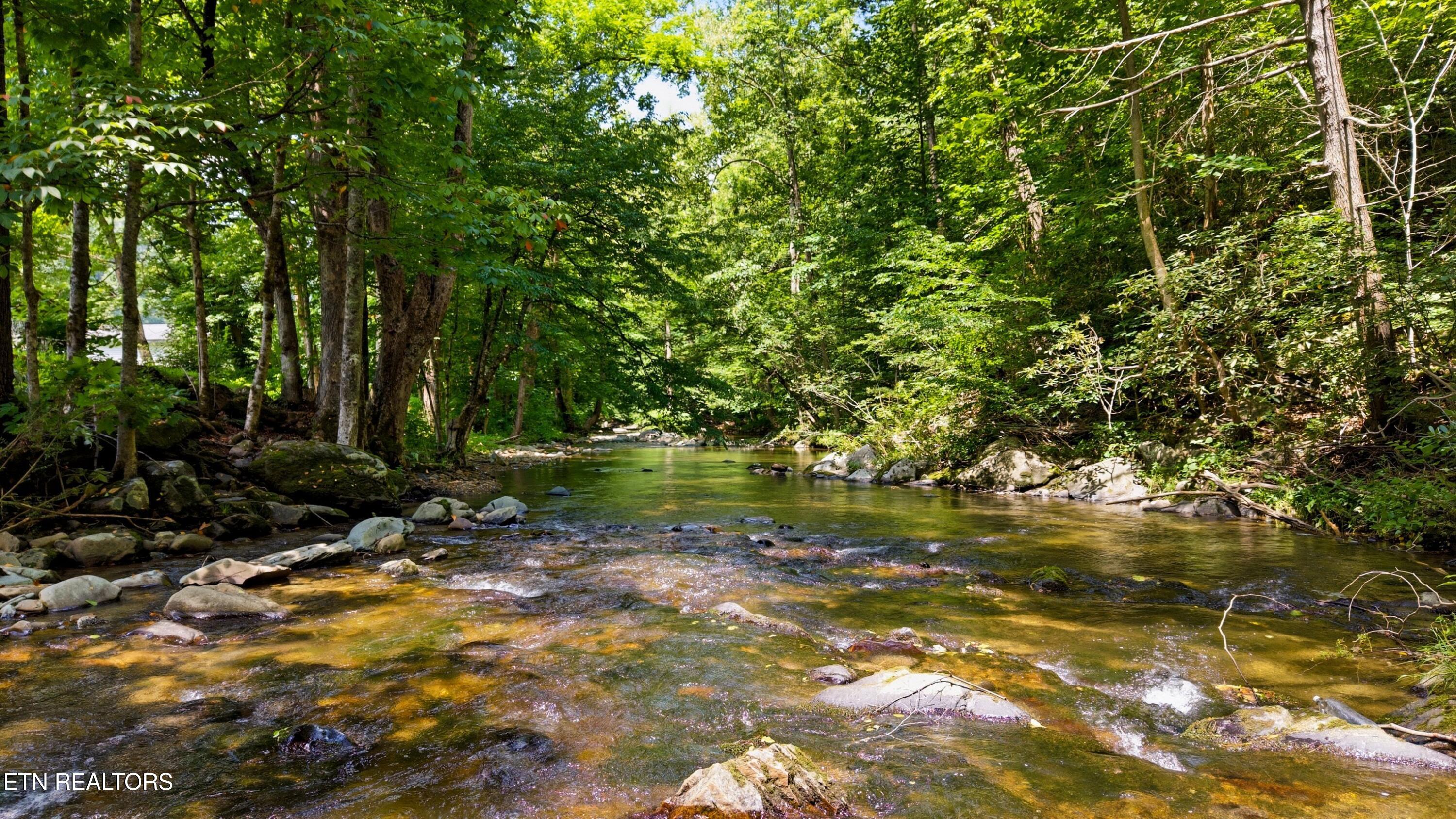 4124 Big Creek Road Hartford, TN 37753 - Photo 5 of 50 051-4124BigCreekRoad-Hartford-TN-37753-S
