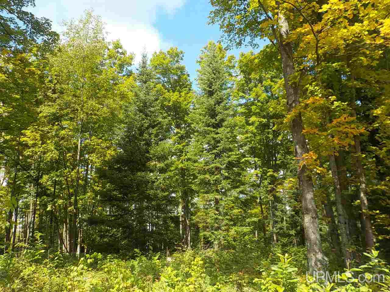 80-ac Mcclaren Road Crystal Falls, MI 49920 - Photo 24 of 27