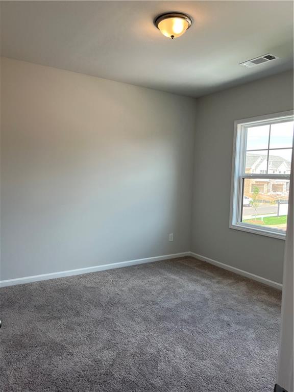 5248 Fox Den Road Oakwood, GA 30566 - Photo 19 of 28