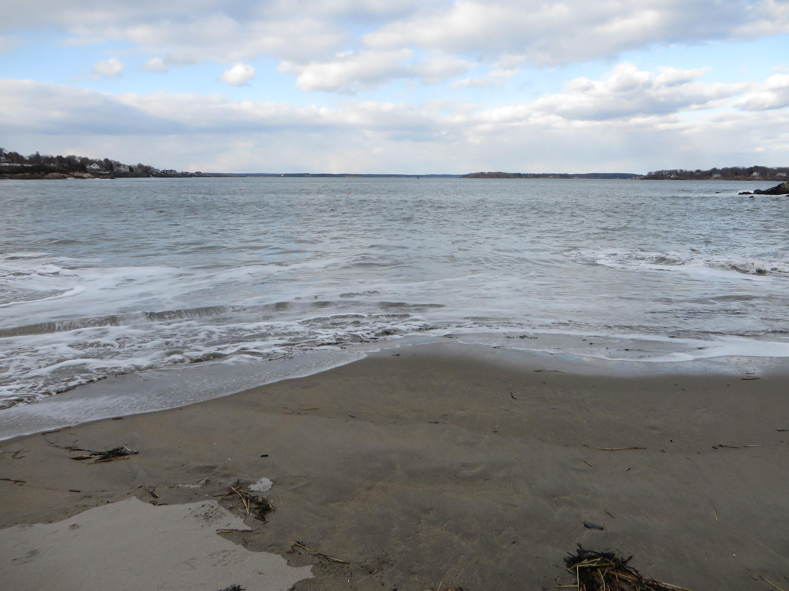 970 Shore Road, Unit 2 Cape Elizabeth, ME 04107 - Photo 8 of 30 IMG_7643