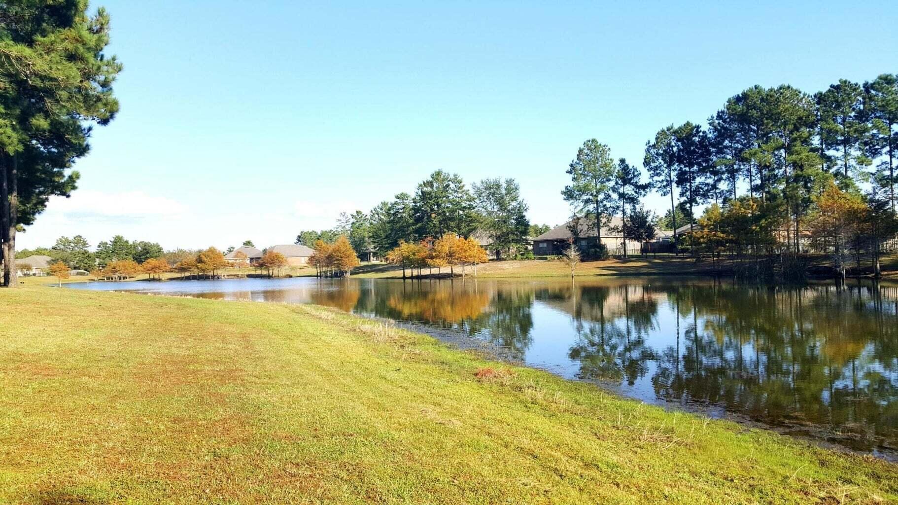 267 Buxtons Way Freeport, FL 32439 - Photo 65 of 70 20240226030959204236000000-o