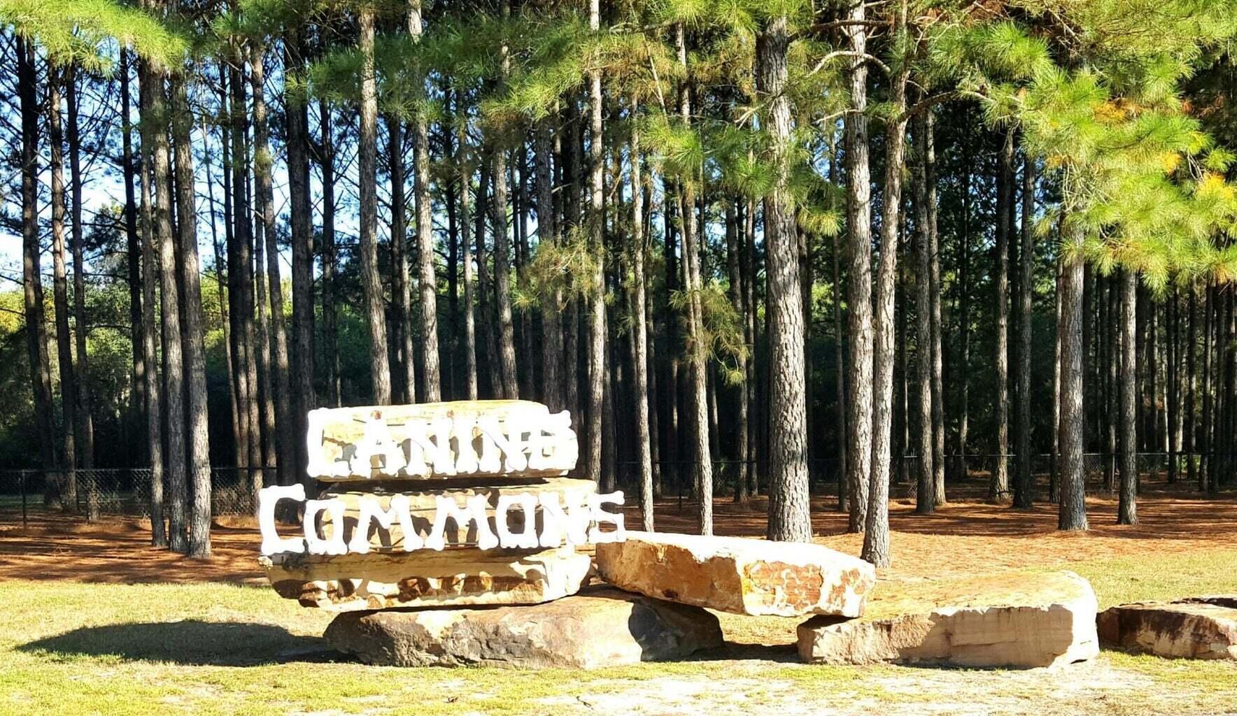 267 Buxtons Way Freeport, FL 32439 - Photo 66 of 70 20240226031047017996000000-o