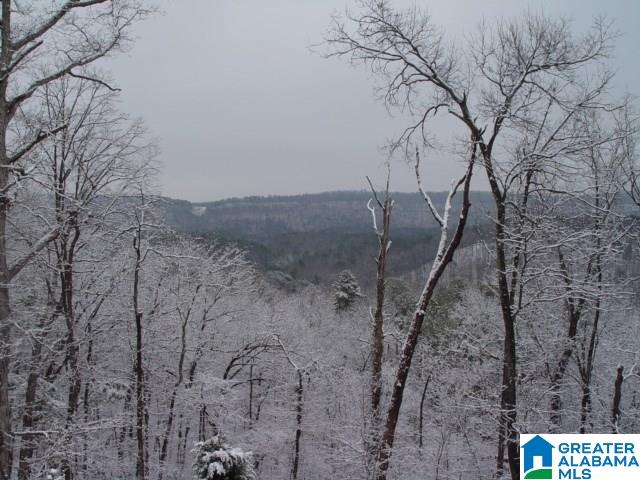 5639 Oak Mountain Lake Road Birmingham, AL 35242 - Photo 44 of 45