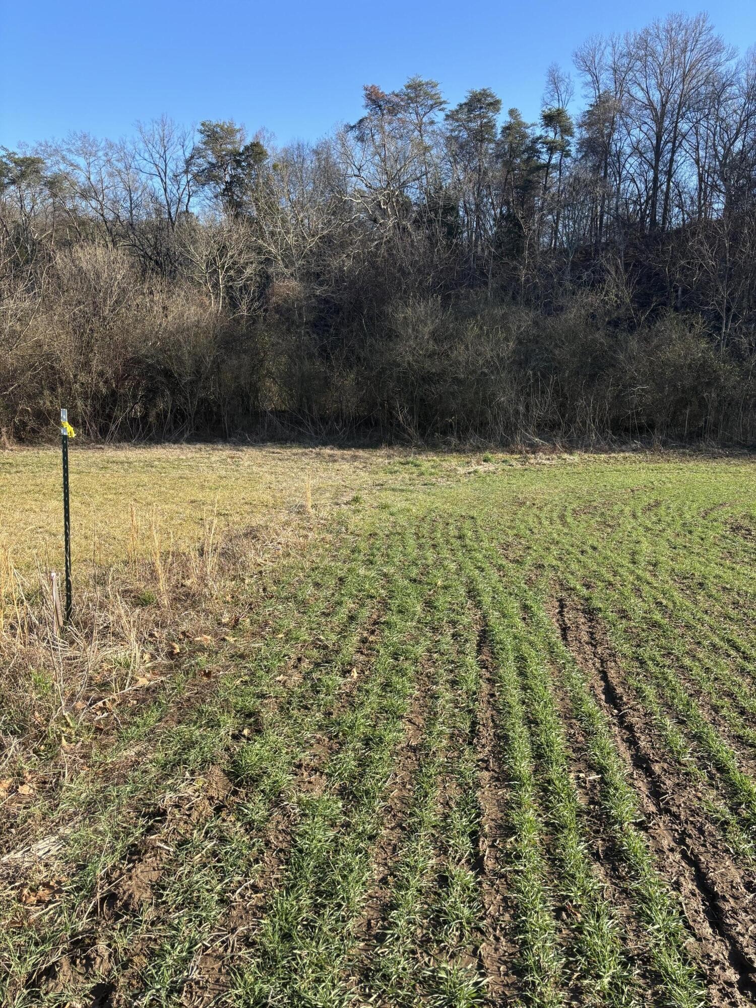 168 Moby Road Delano, TN 37325 - Photo 12 of 20