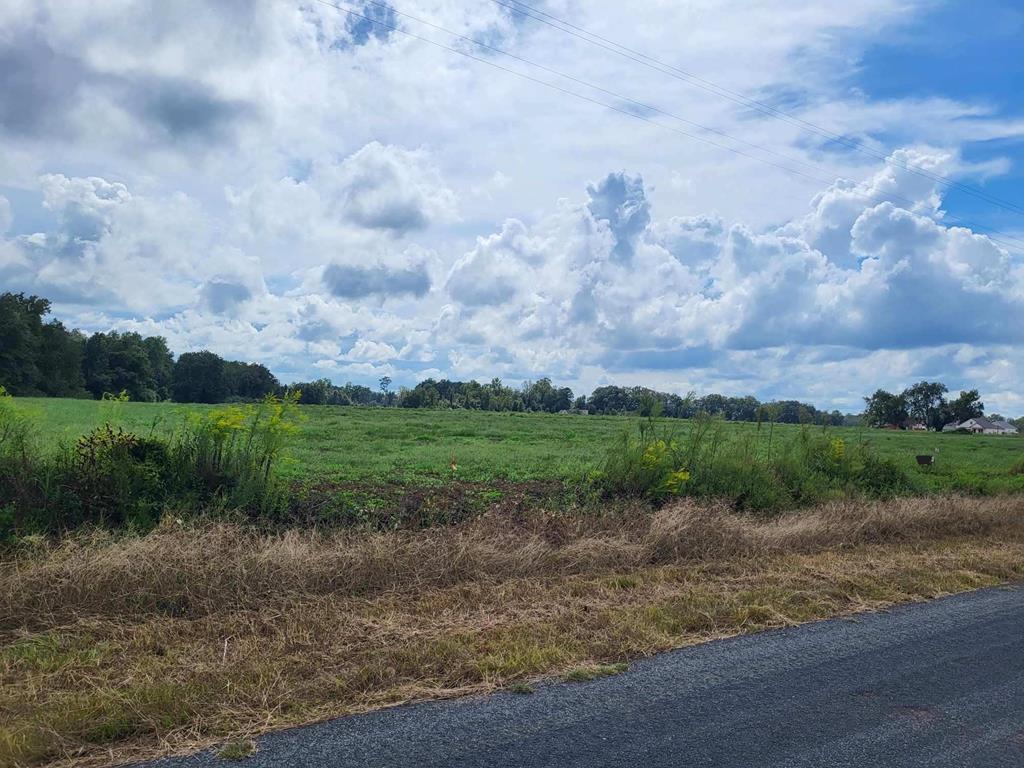 Lot 2 Enterprise Church Road Ashford, AL 36312 - Photo 4 of 8