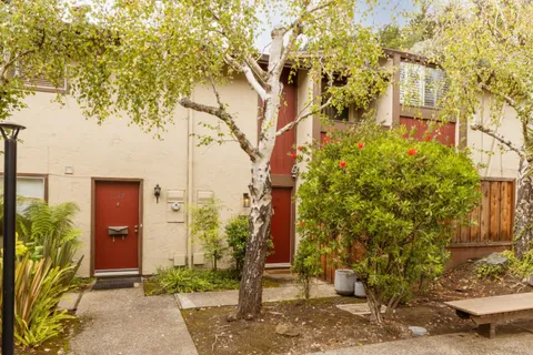 a front view of a house with a tree