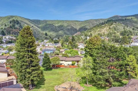 a view of a yard with a tree