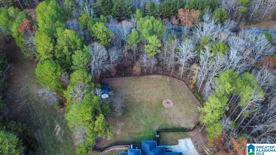 956 Blue Ridge Way Odenville, AL 35120 - Photo 62 of 62