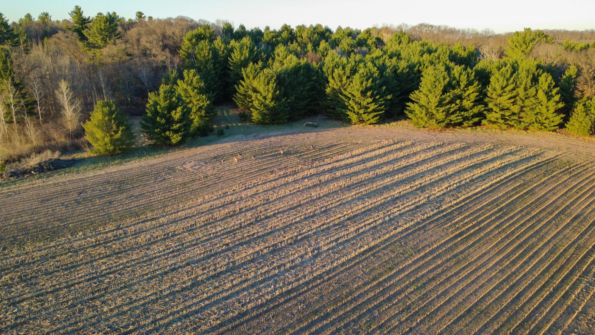 Lot 4 115th Frederic, WI 54837 - Photo 11 of 16