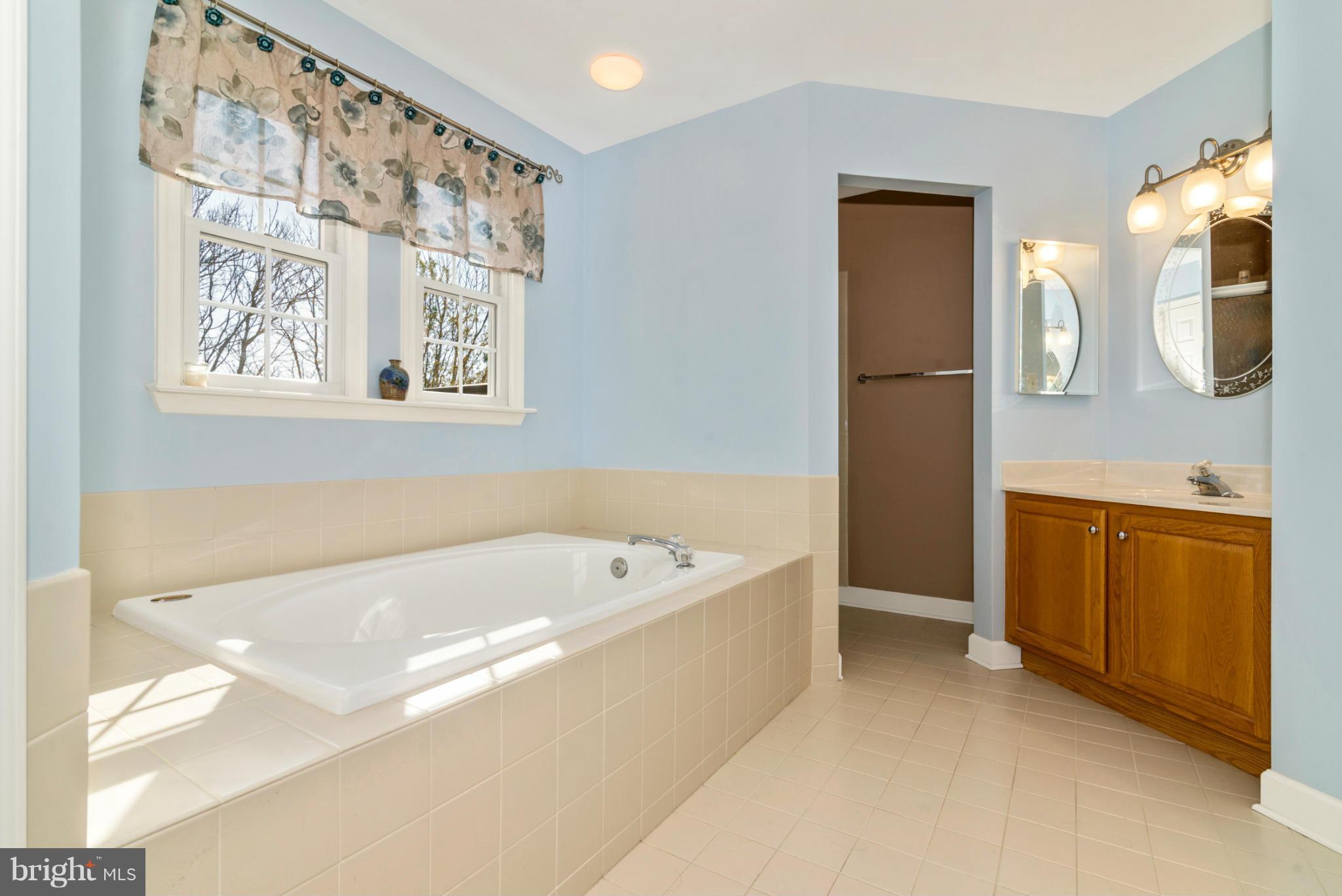 801 Longbow Road Mount Airy, MD 21771 - Photo 20 of 30 Bath (Master)
