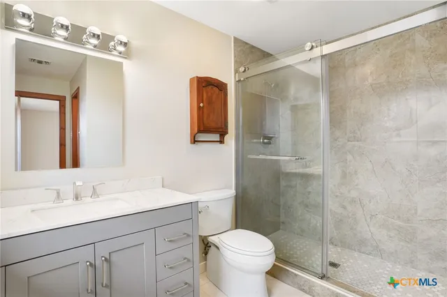 a bathroom with a shower sink vanity mirror and toilet