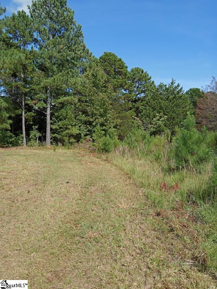 403 McCullough School Road Honea Path, SC 29654 - Photo 10 of 12 Gallery Image 10