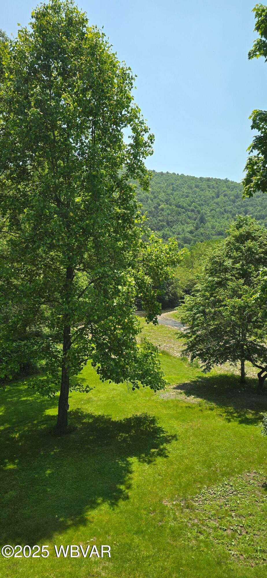 48-50 Trout Run Mountain Road Trout Run, PA 17771 - Photo 77 of 102 View