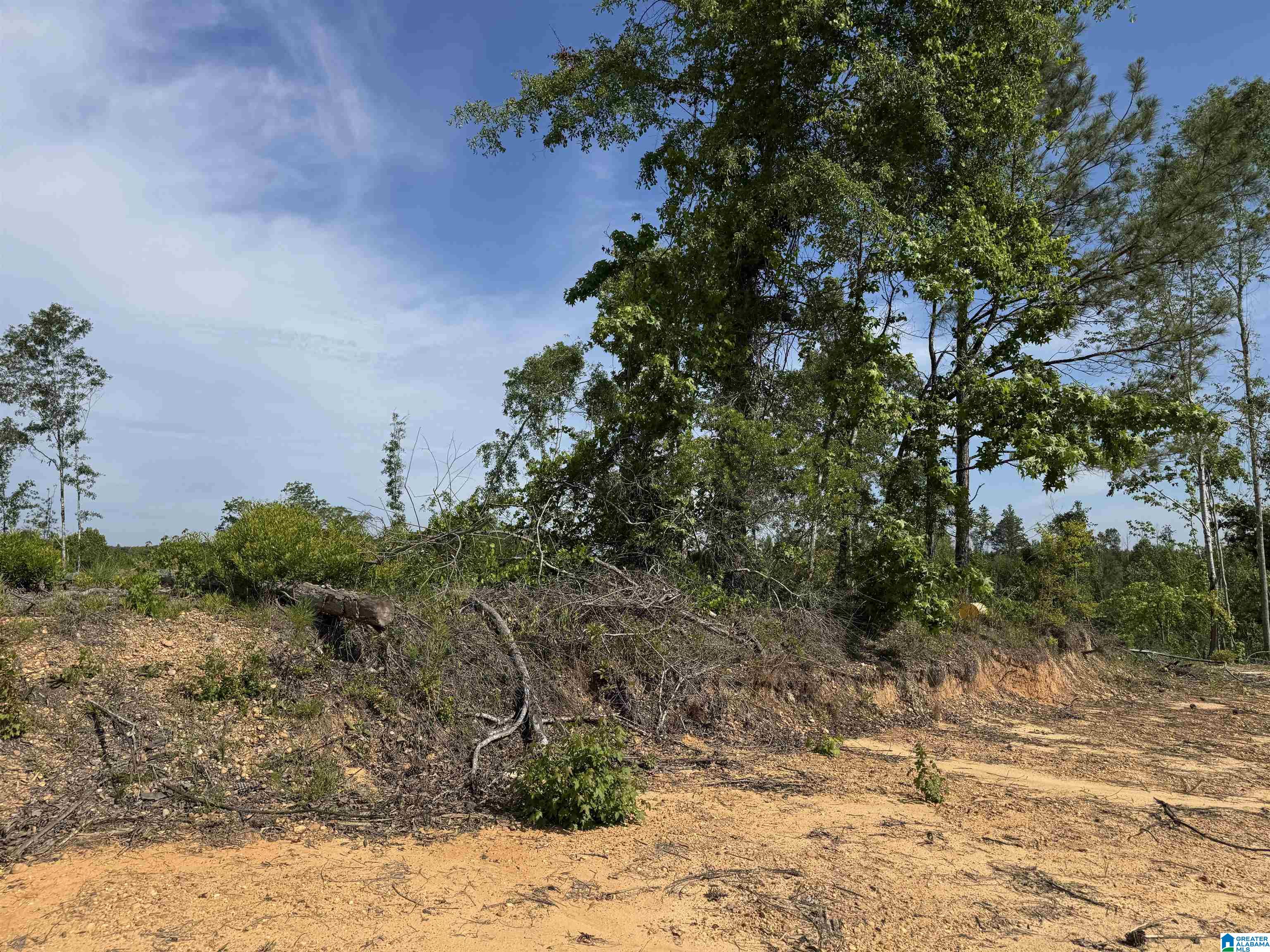 Active Road, Unit 5 Lawley, AL 36793 - Photo 13 of 38