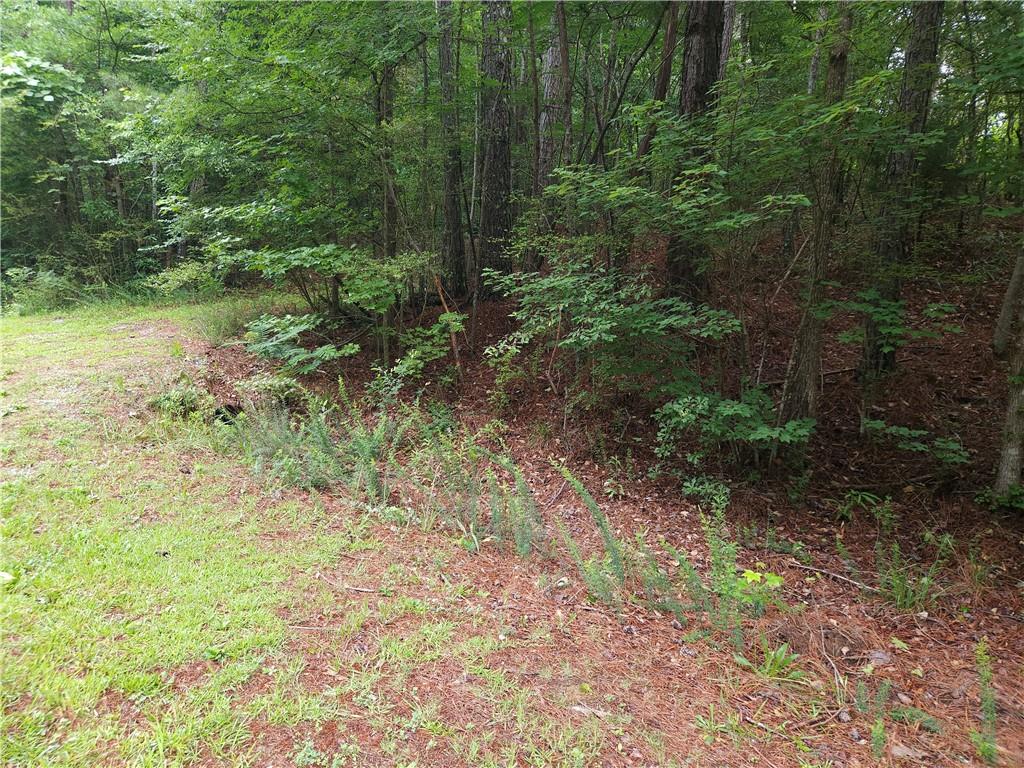 0 Potash Road Cedartown, GA 30125 - Photo 13 of 15