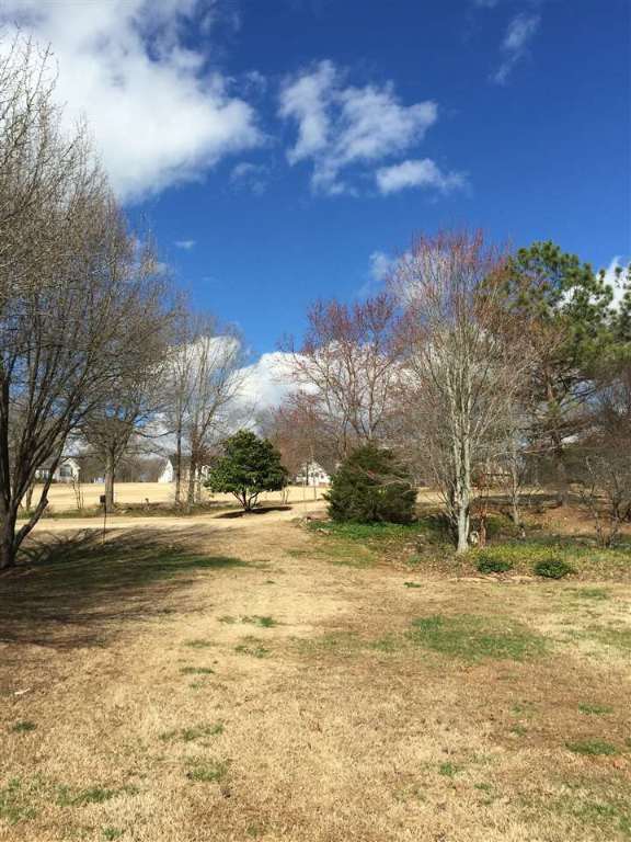 737 Griffin Mill Road Pickens, SC 29671 - Photo 1 of 6