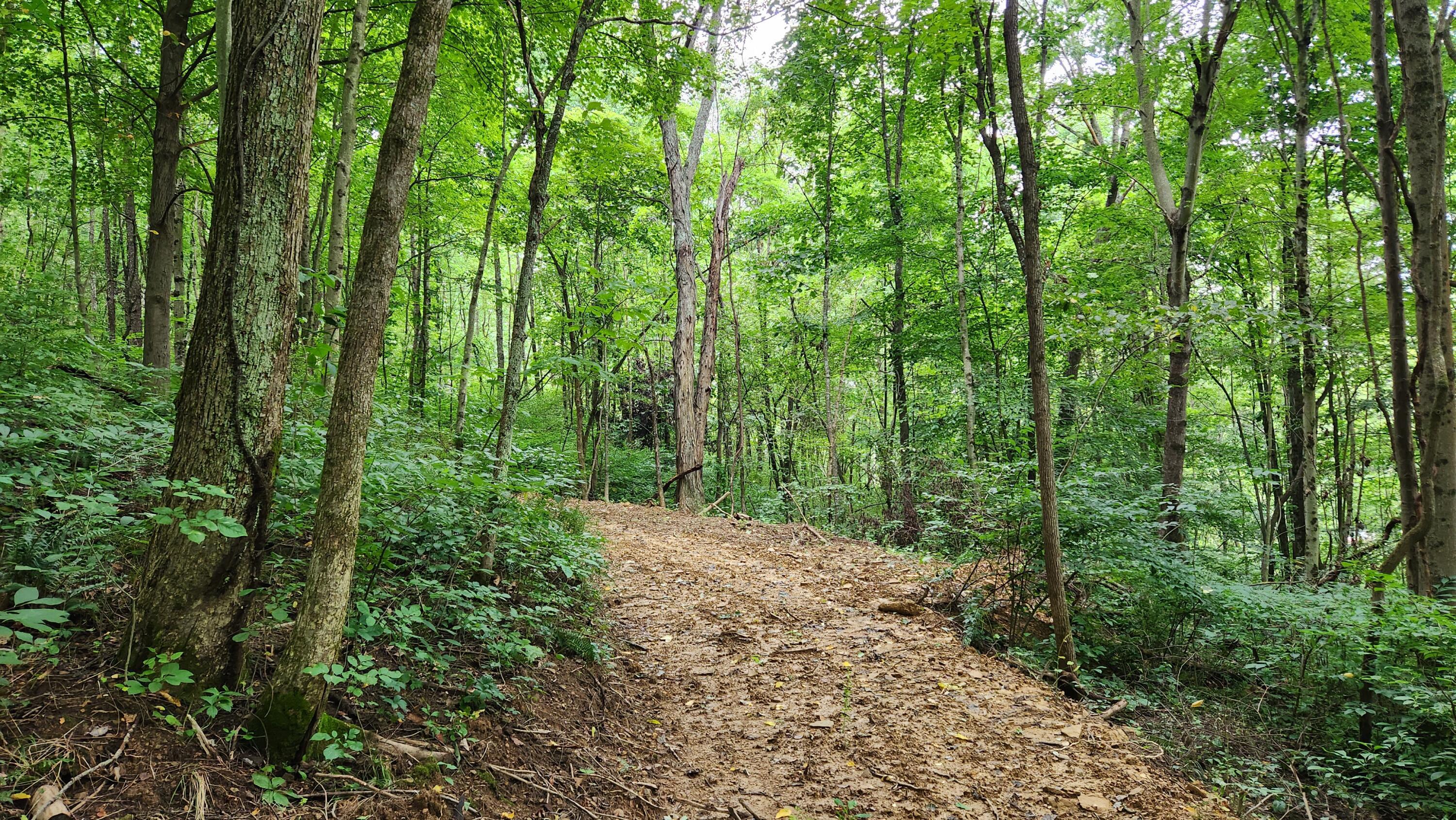 6658 Old State Road, Unit LOT 2) Crooksville, OH 43731 - Photo 23 of 24 20230816_131832