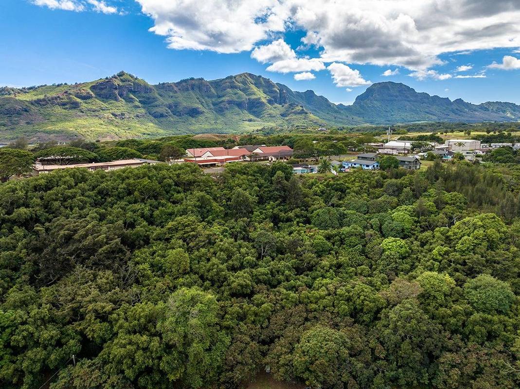 Kahumoku Road, Unit 6 Lihue, HI 96766 - Photo 11 of 18 a view of mountain with sunset in background