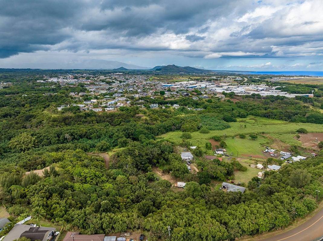 Kahumoku Road, Unit 6 Lihue, HI 96766 - Photo 12 of 18 a view of a bunch of trees