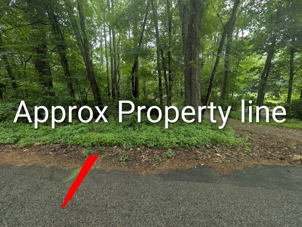 Lot C Baker Pond Road Charlton, MA 01507 - Photo 2 of 5