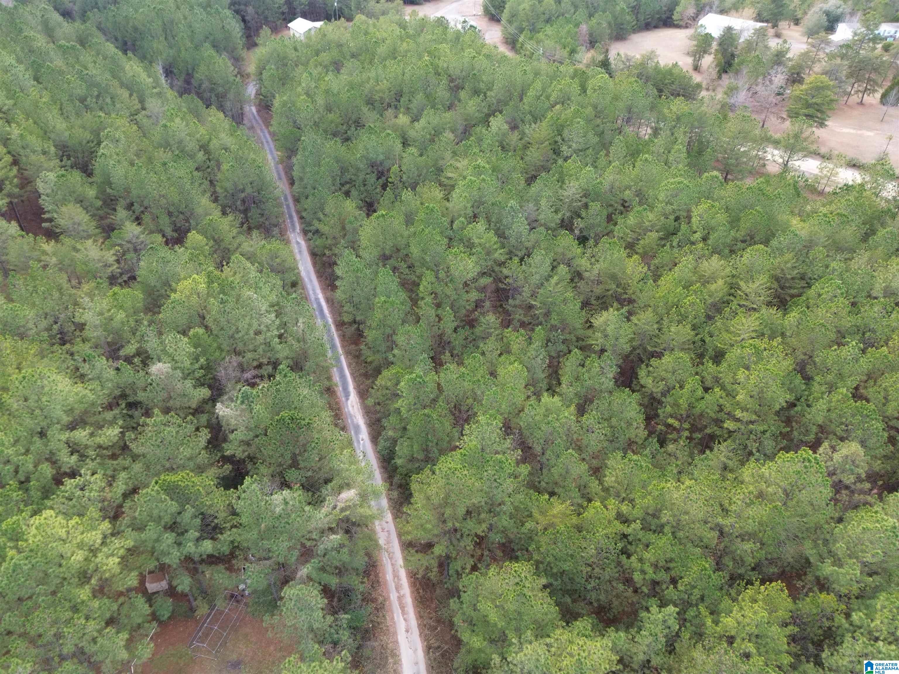 15239 Ridgeland Road Brookwood, AL 35444 - Photo 5 of 10