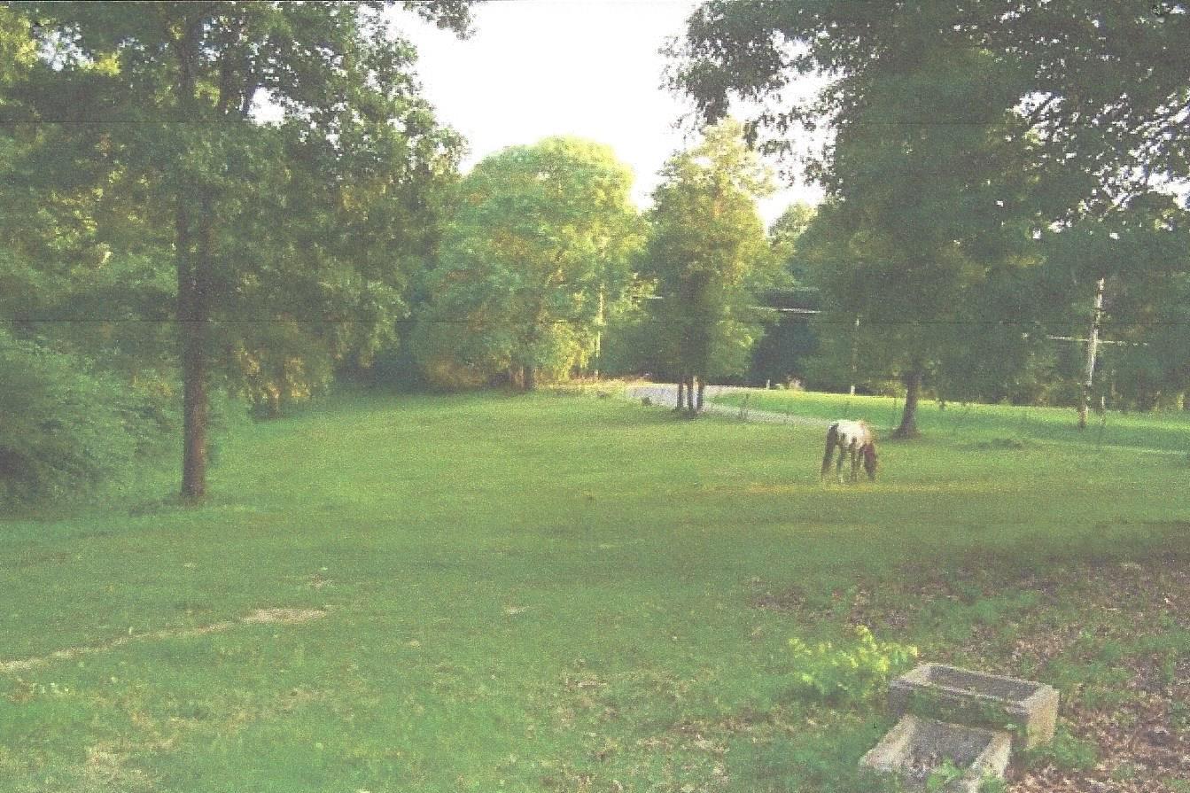 0 South Dividing Ridge Road Goodlettsville, TN 37072 - Photo 1 of 1 Unrestricted Property, Build,bring mobile,modular or tiny home