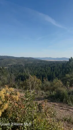 $975,000 | 14.75-acre 14.75-acre Treetop Lane, Plummer, ID 83851