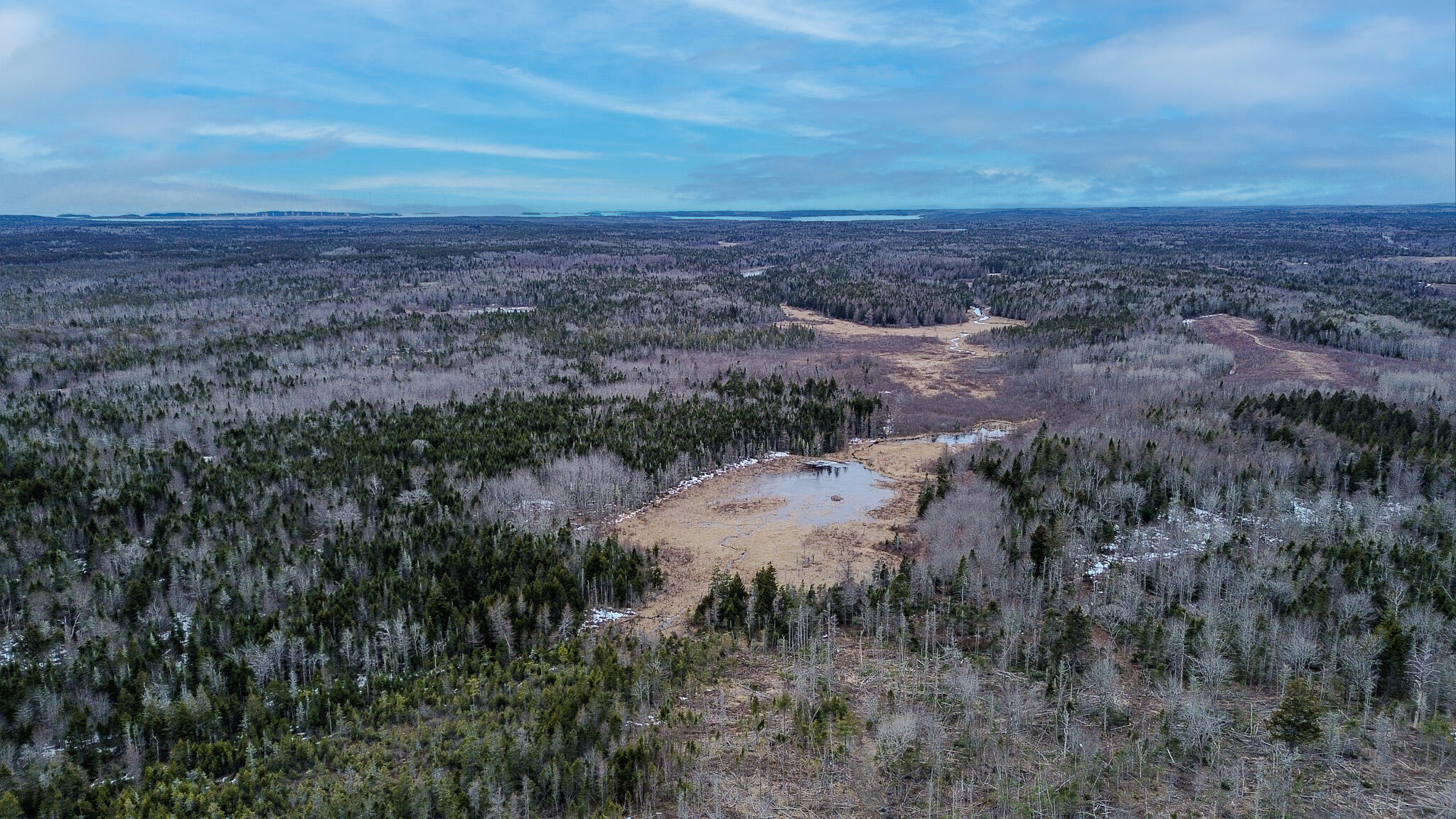 0 Lively Brook Road Whiting, ME 04691 - Photo 17 of 50