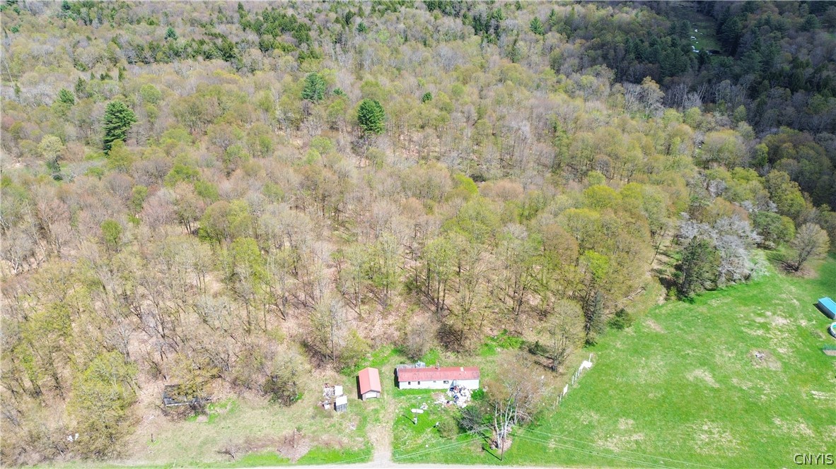 4886 West Ava Road, Unit 204 Ava, NY 13471 - Photo 5 of 13