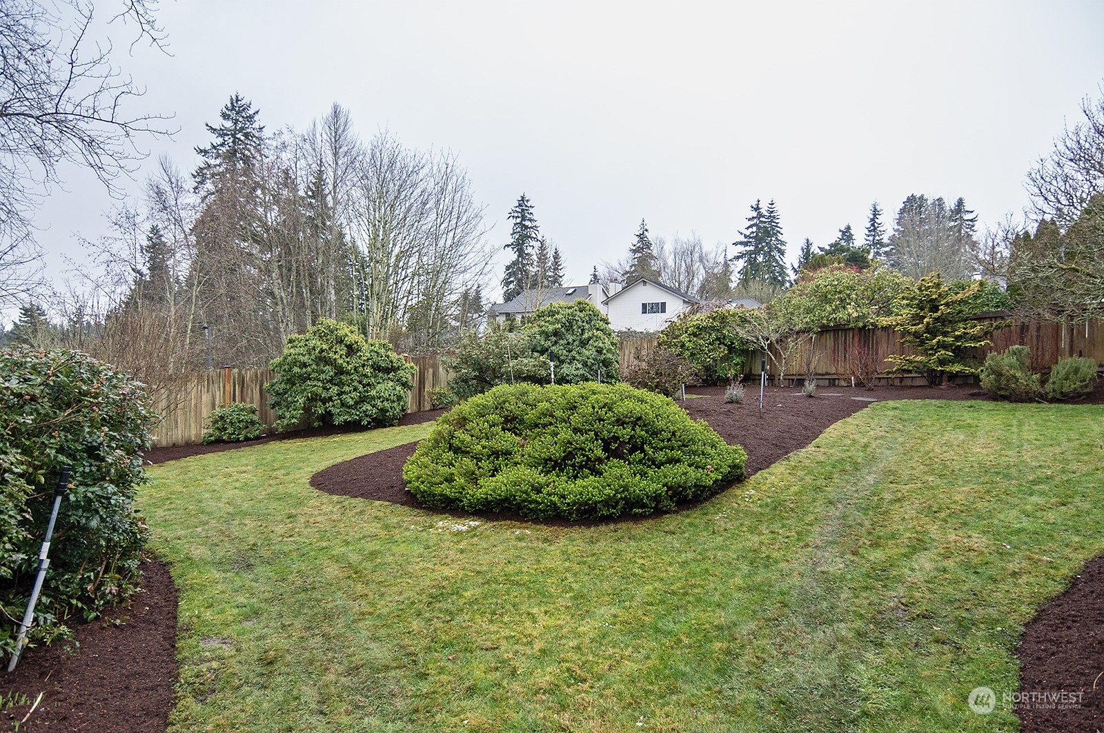 9117 Northeast 151st Street Bothell, WA 98011 - Photo 26 of 31 a view of a garden with large trees