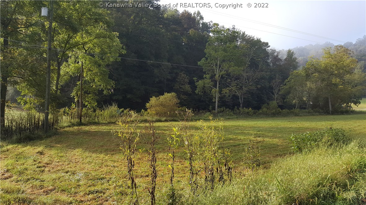 199 Long Branch Road Branchland, WV 25506 - Photo 10 of 11 Gallery Image 10