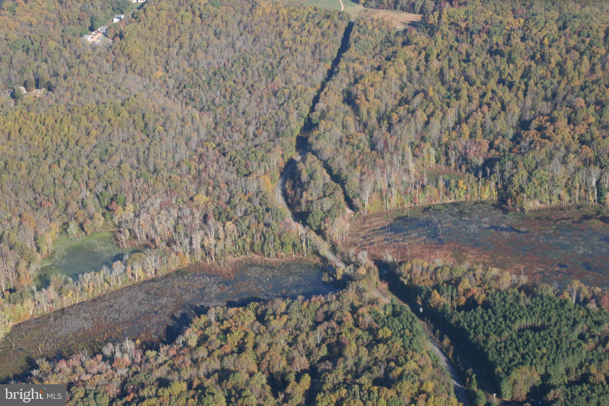 Caledon Road King George, VA 22485 - Photo 8 of 8 Gallery Image 8