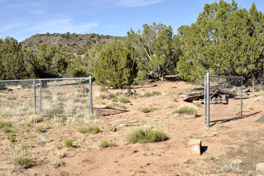 2737 Zaidee Road Show Low, AZ 85901 - Photo 7 of 24