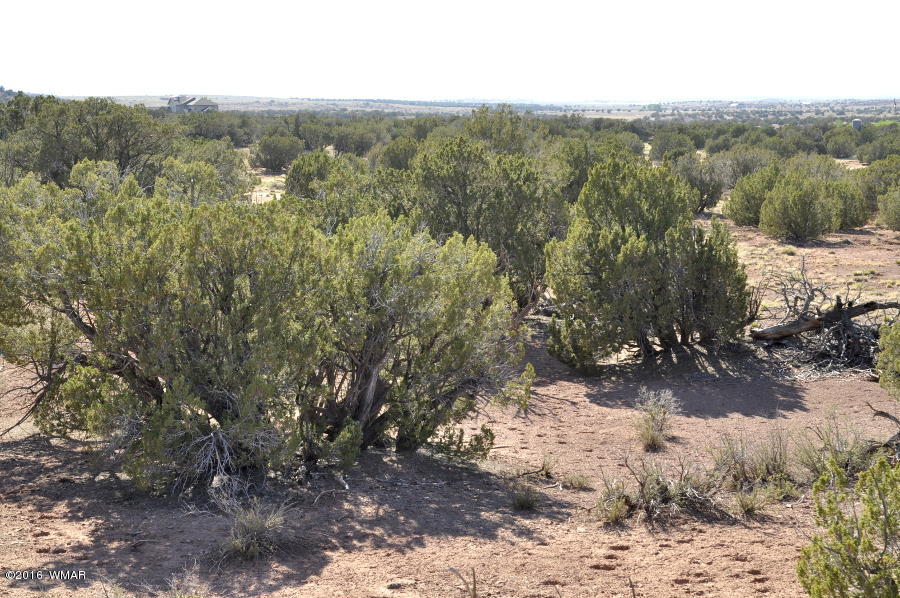 2737 Zaidee Road Show Low, AZ 85901 - Photo 10 of 24