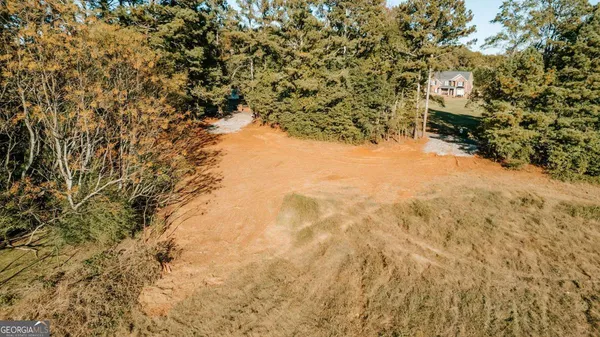 a view of a tree with a yard