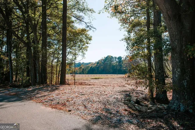 a backyard of a house with large trees