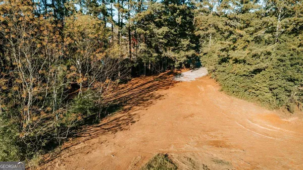 a view of a yard with trees