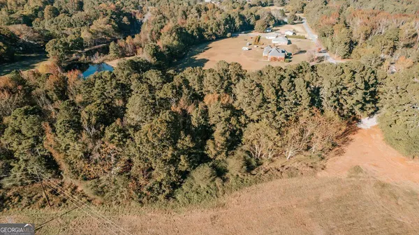 a view of a bunch of trees