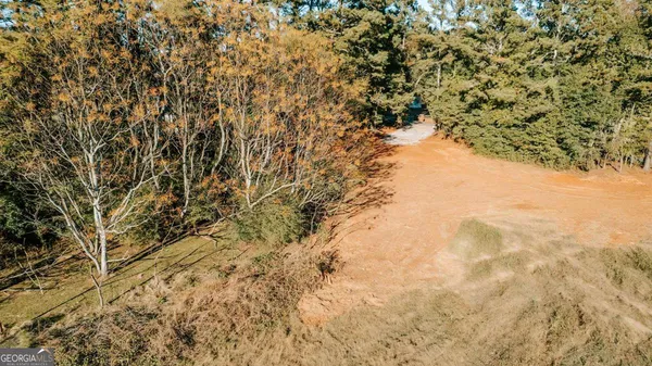 a view of a yard with trees