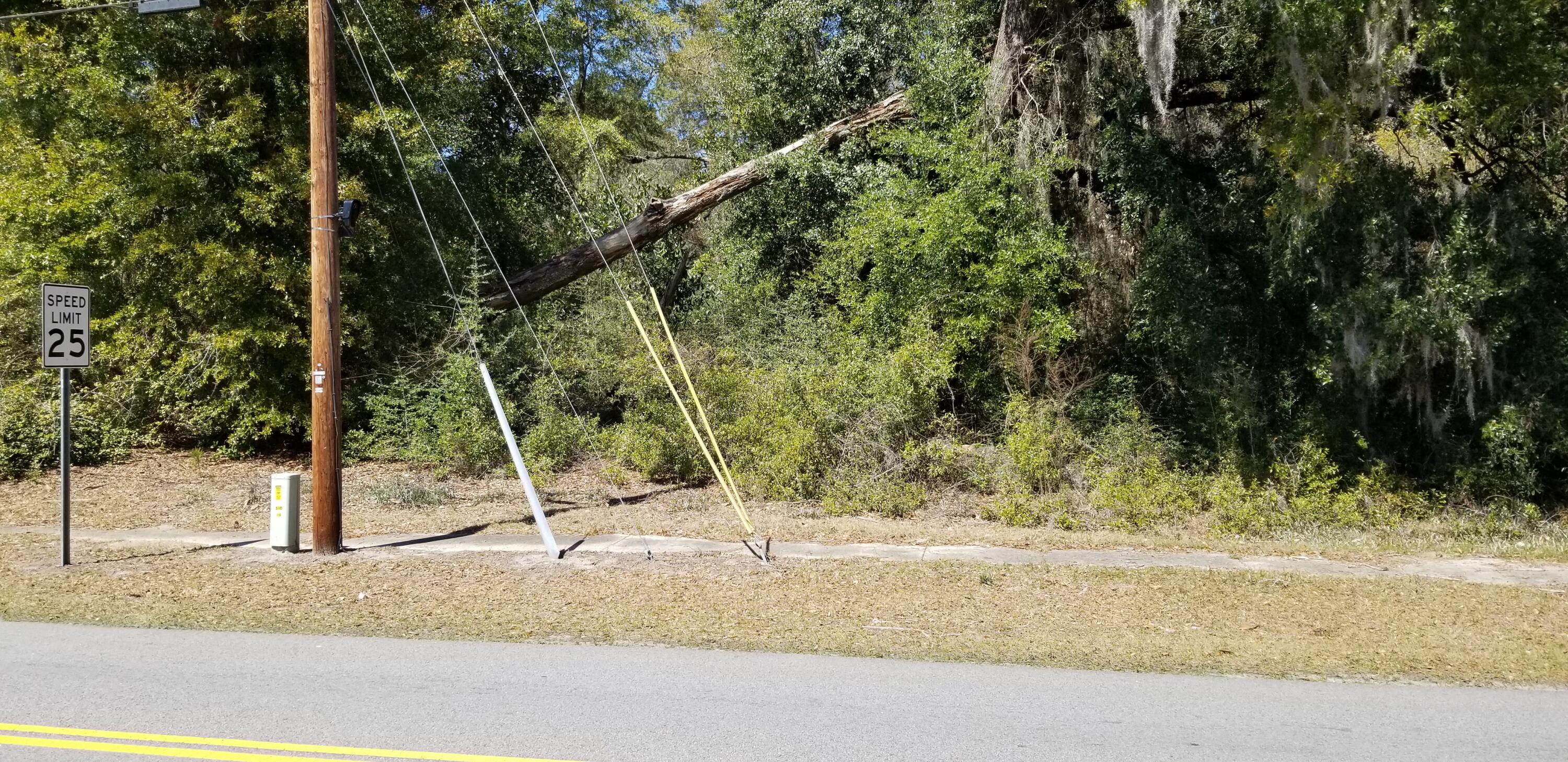0 North Lemacks Street Walterboro, SC 29488 - Photo 2 of 3 20250311_132057