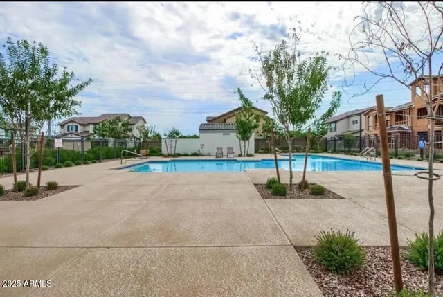 a view of a yard with plants