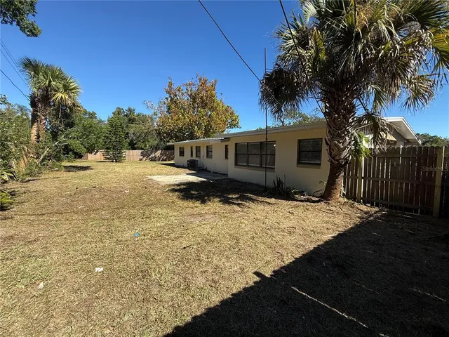 a view of backyard and tree
