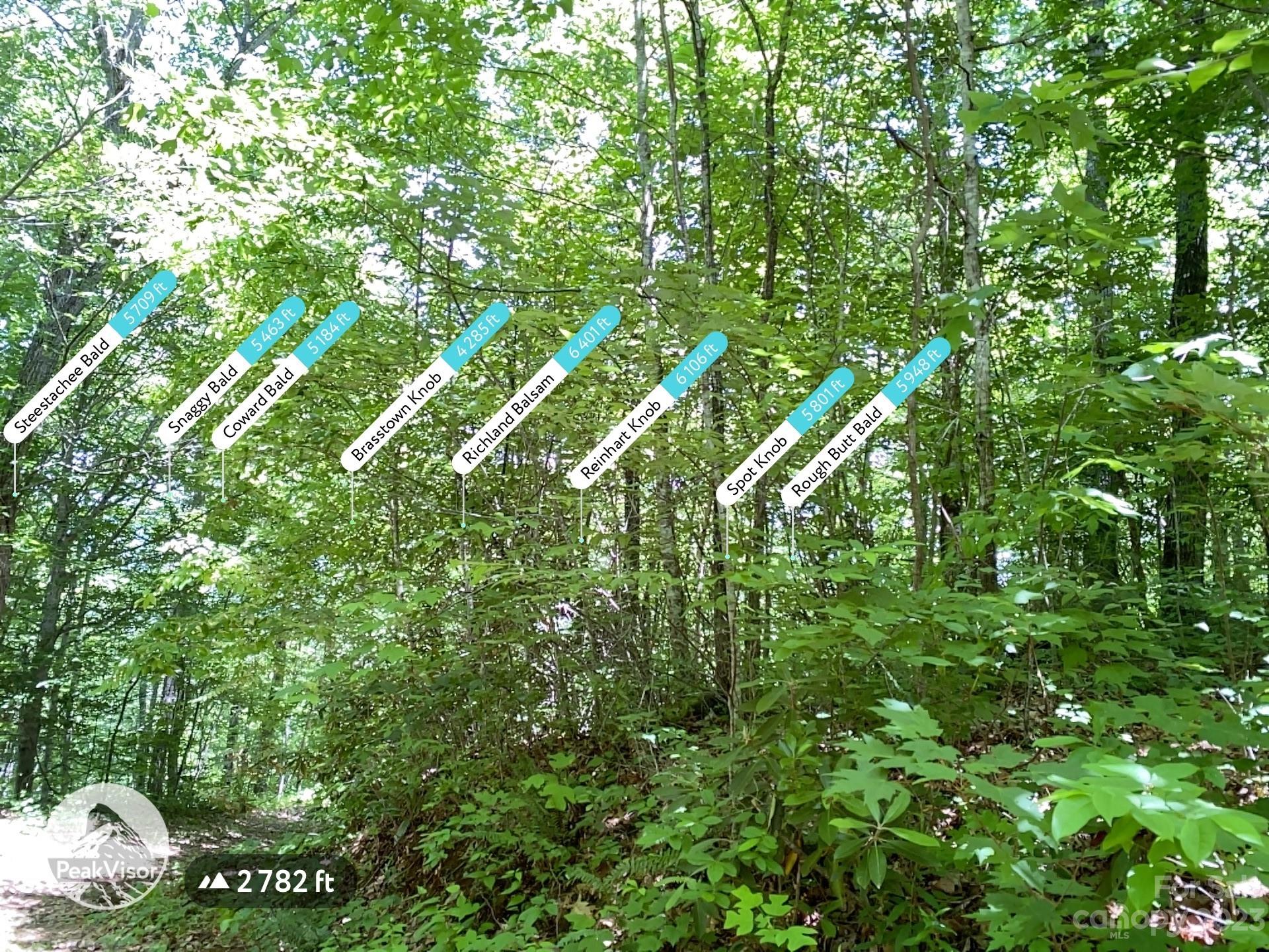 Tbd Moody Bridge Road, Unit 2 & 3 Cullowhee, NC 28723 - Photo 6 of 10 a view of a lush green forest with lawn chairs and plants
