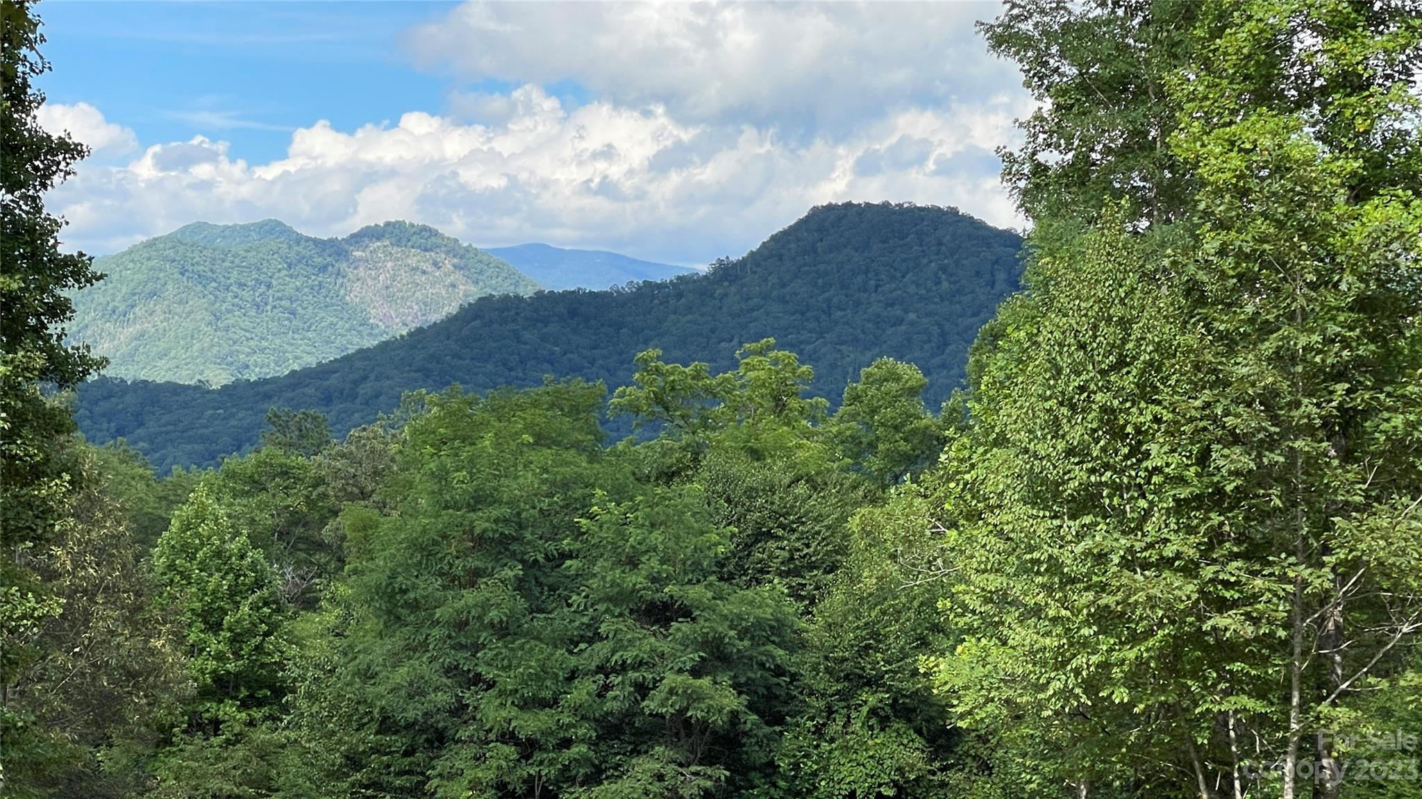Tbd Moody Bridge Road, Unit 2 & 3 Cullowhee, NC 28723 - Photo 8 of 10 a view of a tree in a field